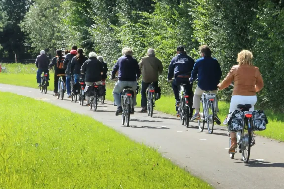 Ein Gruppe von Radfahrern fährt an einem Sommertag durch das Neuseenland.
