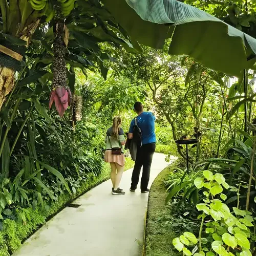 Das Tropenhaus des Botanischen Gartens mit Besuchern.